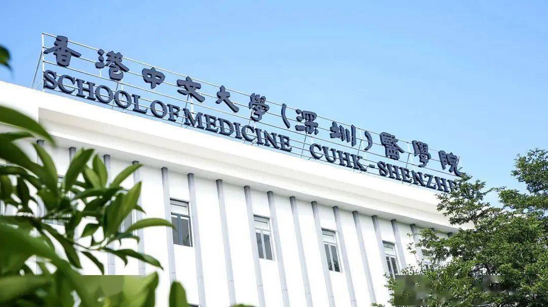 香港中文大学（深圳）医学院硕博项目_香港中文大学深圳_生物科学硕士-博士项目