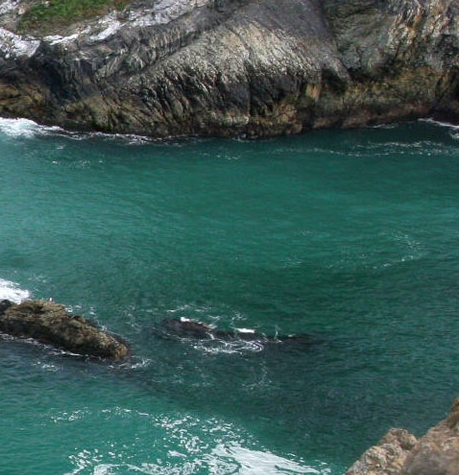 白板笔衣服上能洗掉吗_衣服记号笔渍清洗技巧_牙膏去除记号笔渍方法