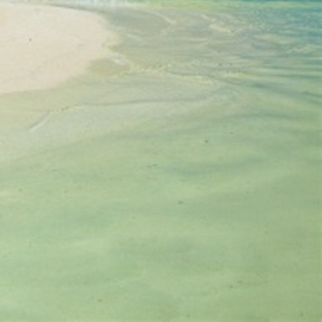 衣服记号笔渍清洗技巧_牙膏去除记号笔渍方法_白板笔衣服上能洗掉吗