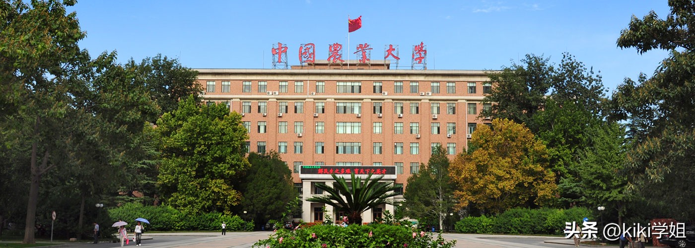 香港中文大学(深圳)_粤港澳大湾区博士申请_香港中文大学（深圳）博士项目