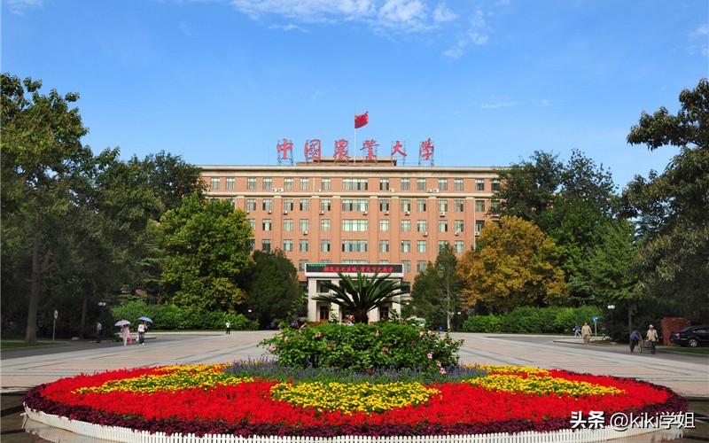 香港中文大学(深圳)_粤港澳大湾区博士申请_香港中文大学（深圳）博士项目