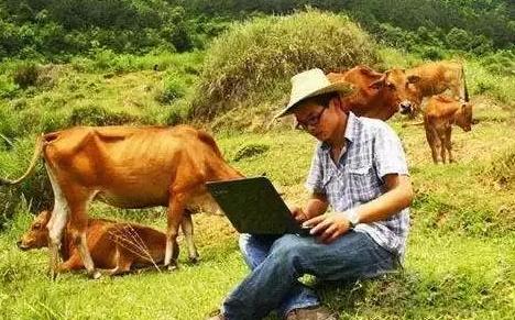 农村创业困难与问题_真实创业失败案例分析_返乡创业政策支持