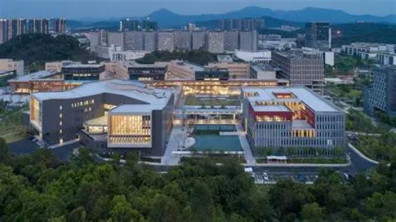 粤港澳大湾区教育模式_香港中文大学(深圳)_香港中文大学（深圳）师资力量