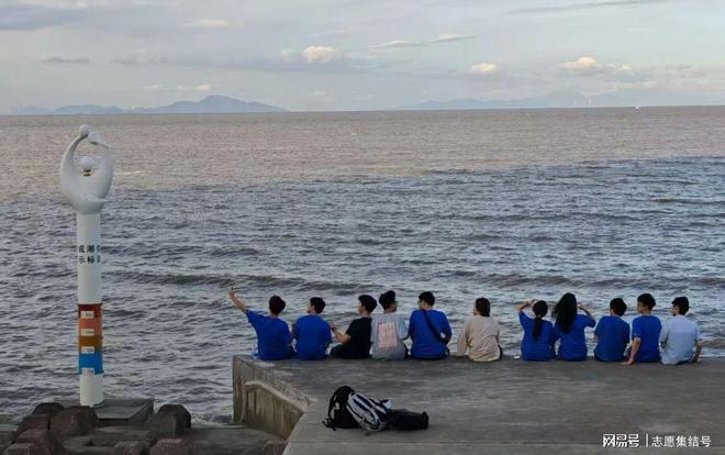 粤港澳大湾区教育模式_香港中文大学（深圳）师资力量_香港中文大学(深圳)