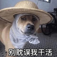 西北农林科技大学_西北农林科技大学保研政策解读_西北农林科技大学985保研数据