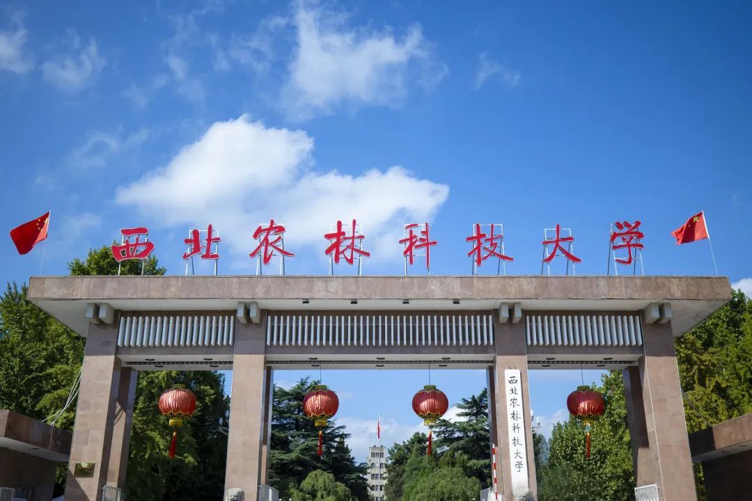 西北农林科技大学保研政策解读_西北农林科技大学_西北农林科技大学985保研数据