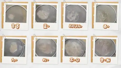 破壁机多功能推荐_破壁机宝宝辅食食谱_破壁机营养吸收