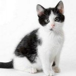 北京航空航天大学校友_北航硕士起薪_北京航空航天大学就业前景