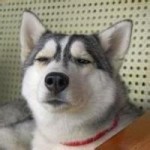 北航硕士起薪_北京航空航天大学校友_北京航空航天大学就业前景