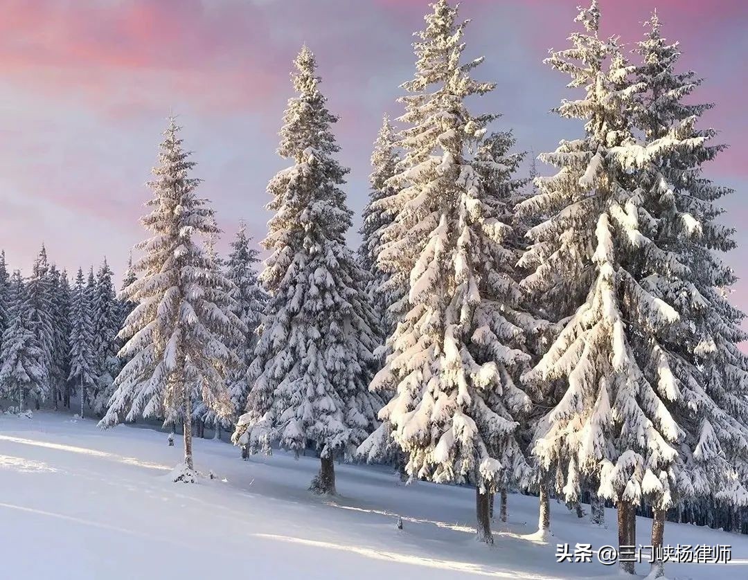 创业失败老婆要离婚怎么办_离婚经济帮助金_婚姻法经济帮助制度