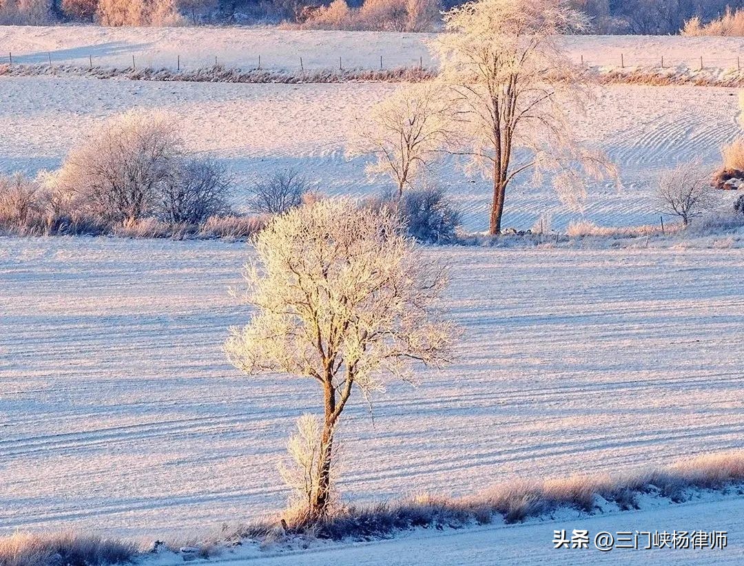 婚姻法经济帮助制度_离婚经济帮助金_创业失败老婆要离婚怎么办