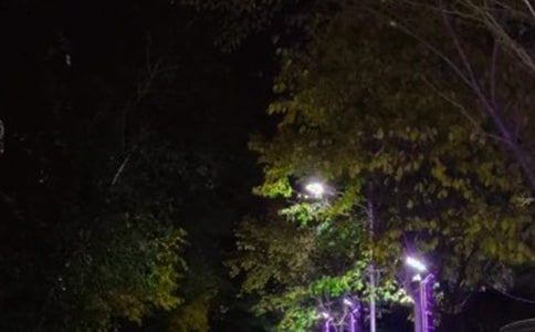 路灯工程合同模板_大路灯怎么安装_路灯工程安装合同范本