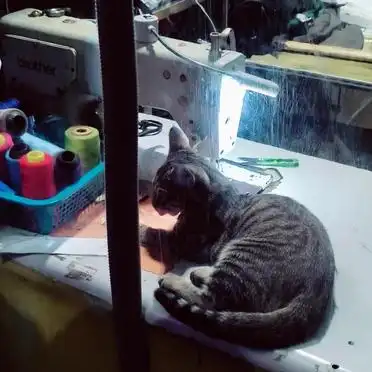 港中深学位证差异_港中深与港中大排名争议_港中大深圳