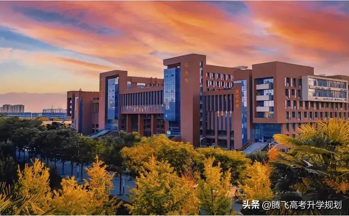 西北农林科技大学_西北农林科技大学985录取分数_西农985高校报考指南