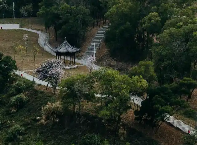 深圳北理莫斯科大学_中外合作办学数学专业优势_深圳北理莫斯科大学数学与应用数学专业