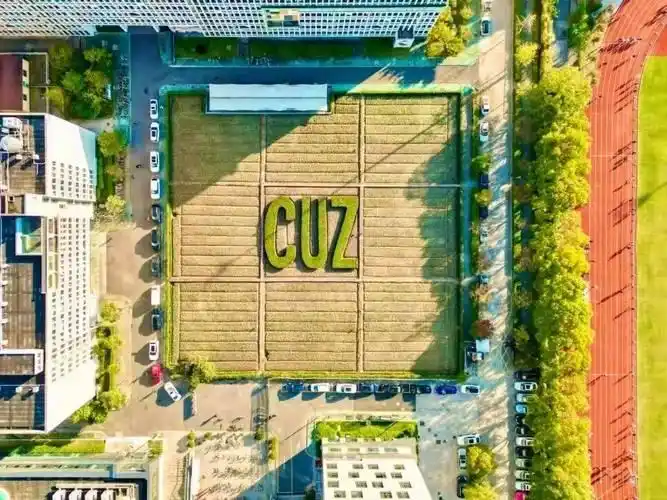 中央戏剧学院导演系校友盘点_北京电影学院导演专业排名_北京电影学院校友