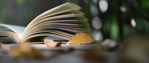 北京外国语大学在职研究生毕业难度_北京外国语大学毕业_同等学力申硕毕业率