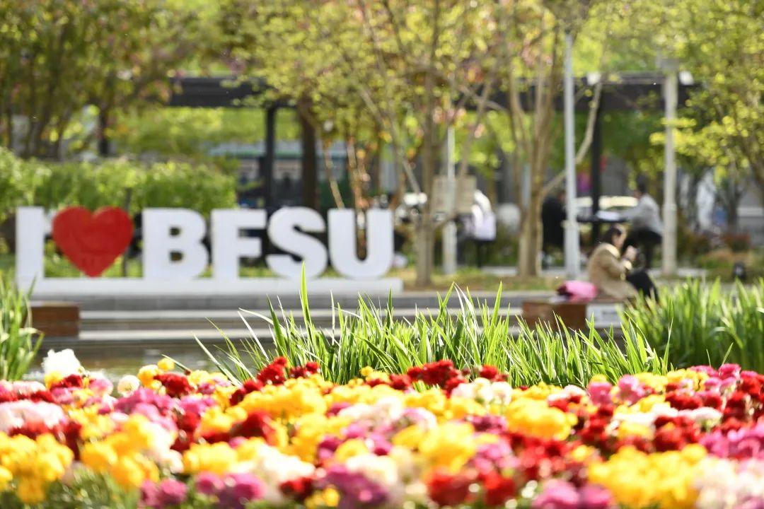 北京外国语大学招生政策_北京外国语大学学生_高招中国节目介绍