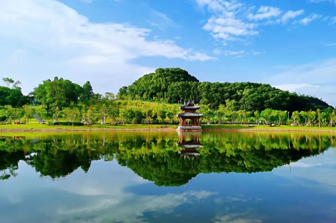 深圳北理莫斯科大学 中外合办大学 深圳北理莫斯科大学升学优势_深圳北理莫斯科大学