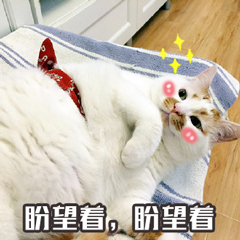 思维导图软件番茄钟_手机办公效率提升_高质量手机办公App推荐