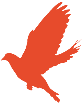 北京外国语大学学生会交流_北京外国语大学学生_外交学院国际关系学院学生会合作