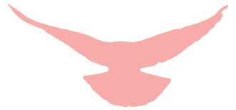 外交学院国际关系学院学生会合作_北京外国语大学学生_北京外国语大学学生会交流