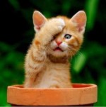 北京师范大学教育学专业评价_北京师范大学校友_北京师范大学校友口碑评价