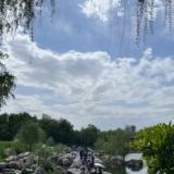 中外合办大学优势_深圳北理莫斯科大学_深圳北理莫斯科大学王牌专业