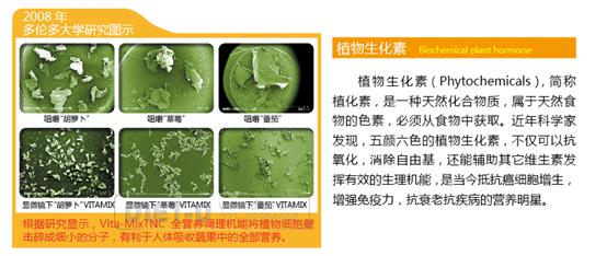 台湾精力汤破壁机_全食物精力汤_连皮带籽打成蔬果汁