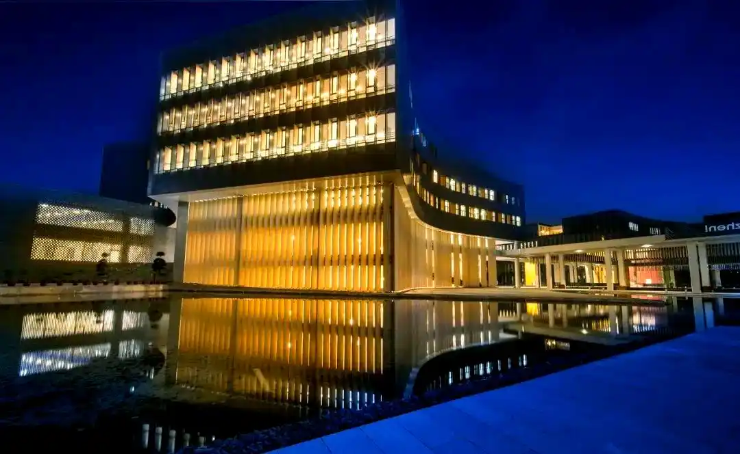 香港中文大学(深圳)中英双语教育_港中文深圳_香港中文大学(深圳)概况