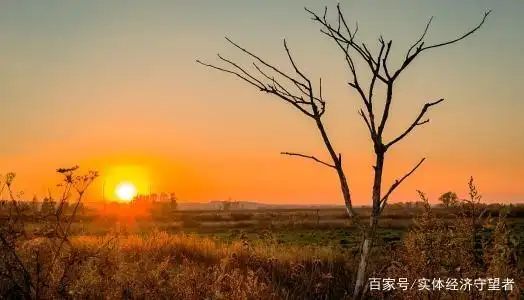 创业失败后如何调整心态_创业者失败后的生活建议_农村人创业失败的话怎么办