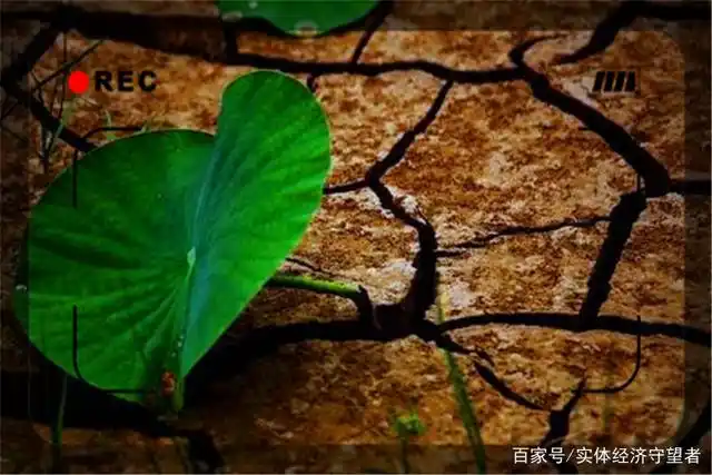 农村人创业失败的话怎么办_老赖走投无路解决方法_创业失败老赖如何自救