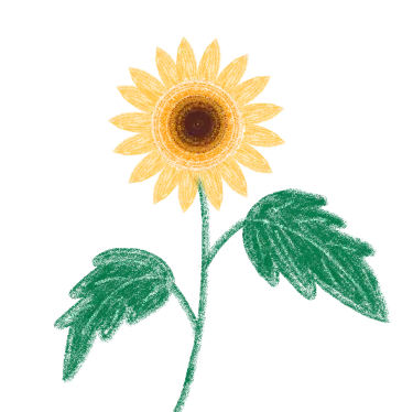 新闻与传播学就业方向_全媒体新闻实务_新闻传播专业硕士