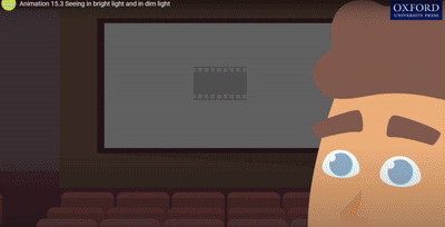 大路灯怎么选_大路灯怎么使用_大路灯评测