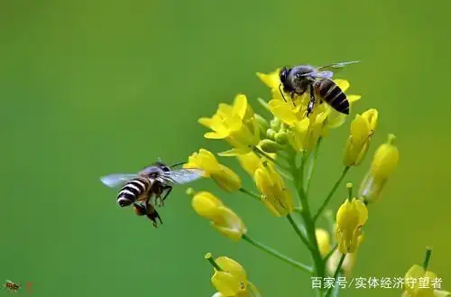 农村人创业失败的话怎么办_无本小生意创业项目推荐_创业失败负债累累如何走出阴影