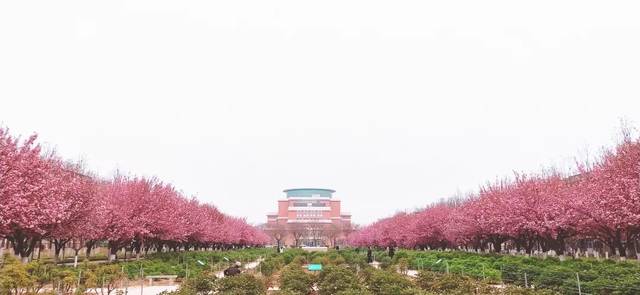 西北农林科技大学ESI排名_西北农林科技大学_西北农林科技大学QS学科排名