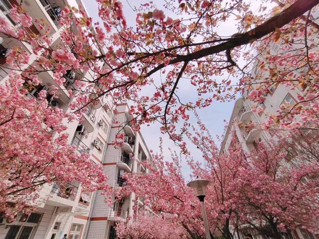 西北农林科技大学QS学科排名_西北农林科技大学ESI排名_西北农林科技大学