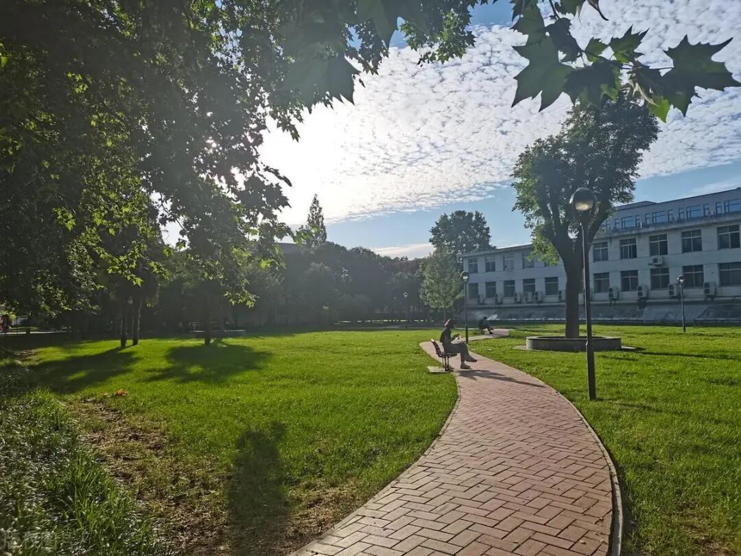 西北农林科技大学_西北农林科技大学农业工程学科评价_西北农林科技大学植物保护双一流学科排名