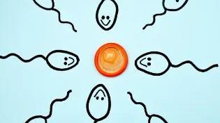 世界避孕日 避孕药避孕方法 避孕知识科普_避孕贴跟避孕药