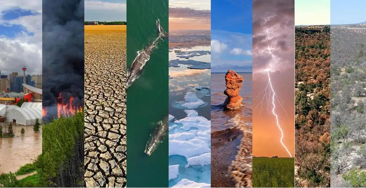 <a href="https://huanjingfa.cn">环境法</a>与可持续发展_环境分类与相互关系_人类与环境关系