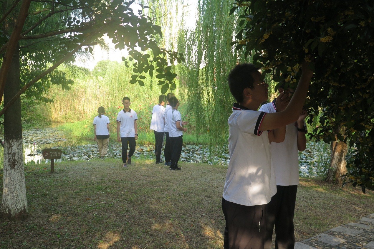少年班学生课程学习感受_西安交通大学学生_西安交通大学少年班预科体验