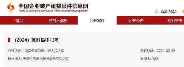 天涯社区破产审查_天涯 创业失败史_天涯社区创始人邢明