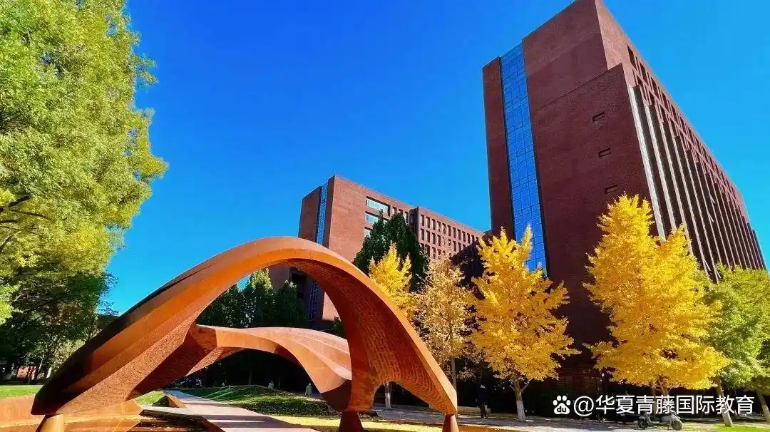 北京外国语大学学生_北京外国语大学国际课程优势_北京外国语大学出国留学培训基地