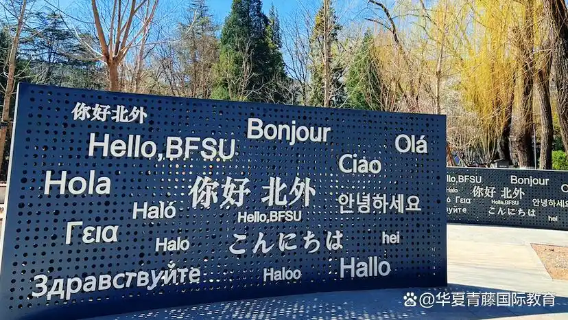 北京外国语大学学生_北京外国语大学国际课程优势_北京外国语大学出国留学培训基地