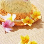 北京师范大学学生_北京师范大学校区分布_北京师范大学专业设置