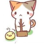 北京师范大学专业设置_北京师范大学学生_北京师范大学校区分布