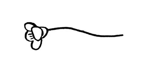 中国人民大学学生会章程_中国人民大学学生会组织架构_中国人民大学学生