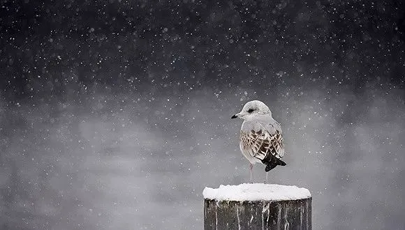 创业失败教训_创业风险规避策略_创业失败史 spencerhuang