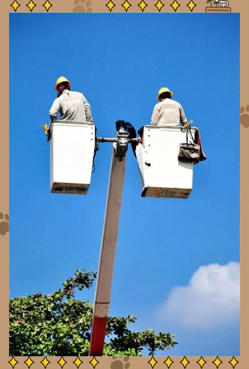 路灯安装技术要求_路灯安装施工准备_大路灯安装