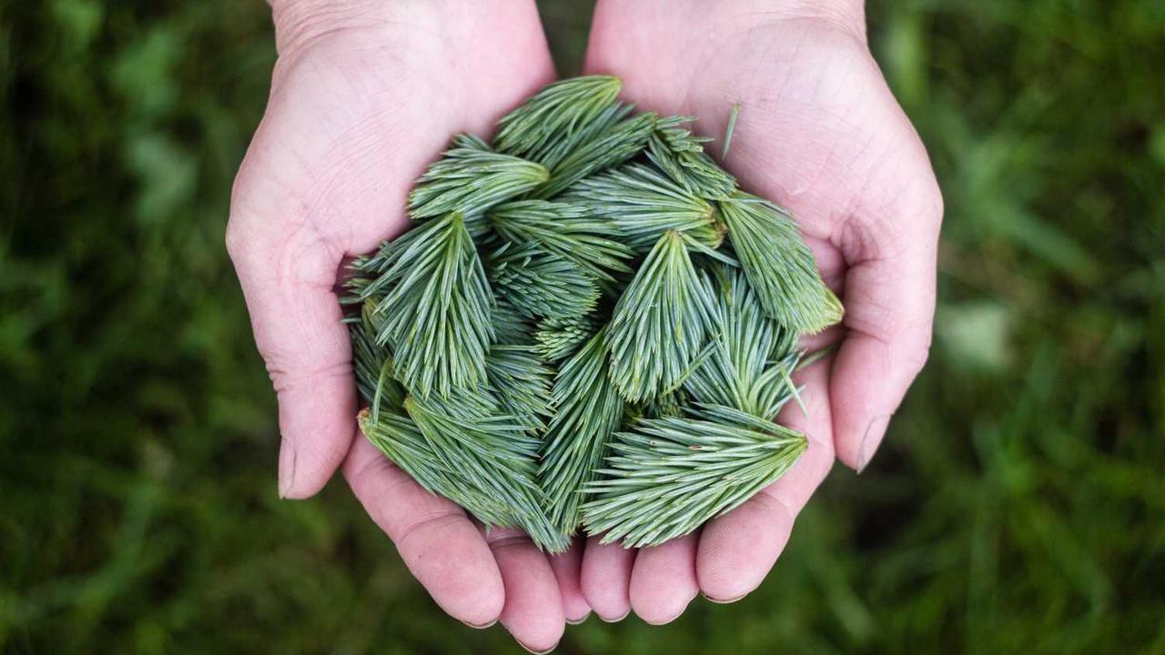 传播学考研备考攻略_传播学考研方向_传播学考研方向选择
